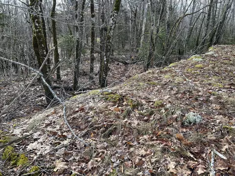 Map8lot6 Cmp, Prospect, ME 04981 photo 45