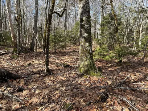 Map8lot6 Cmp, Prospect, ME 04981 photo 46