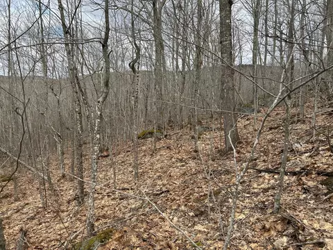 Map8lot6 Cmp, Prospect, ME 04981 photo 28