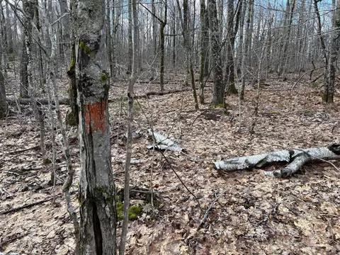 Map8lot6 Cmp, Prospect, ME 04981 photo 35