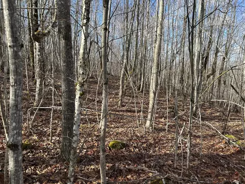 Map8lot6 Cmp, Prospect, ME 04981 photo 9