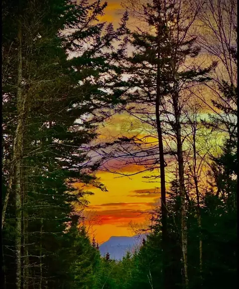 Other - 657 Bemis Rd, Rangeley Plt, ME 04970 photo 5 of 12