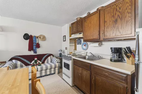 Kitchen - 8 Cascades Dr #B-06, Newry, ME 04261 photo 2 of 2