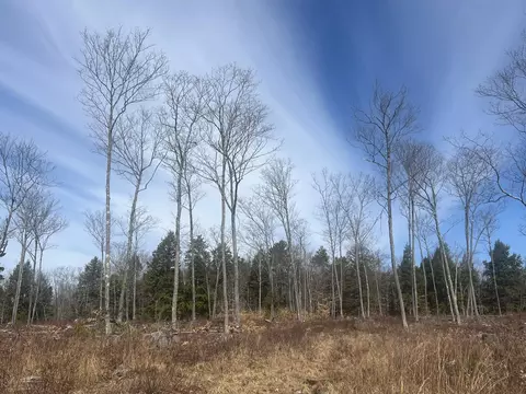 tbd Deer Hill Rd, Harrison, ME 04040 photo 8