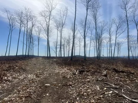 tbd Deer Hill Rd, Harrison, ME 04040 photo 12