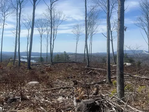 tbd Deer Hill Rd, Harrison, ME 04040 photo 10
