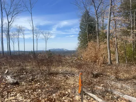 tbd Deer Hill Rd, Harrison, ME 04040 photo 11