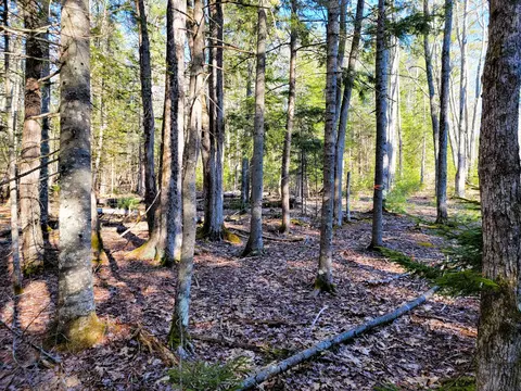 0 Redding Ln, Freeport, ME 04032 photo 13