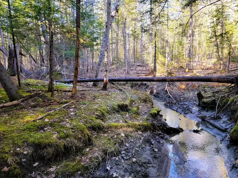 0 Redding Ln, Freeport, ME 04032 photo 16