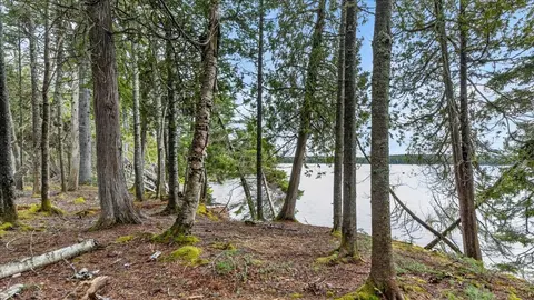 35 Aspen Ln, Steuben, ME 04680 photo 29