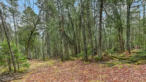 35 Aspen Ln, Steuben, ME 04680 photo 18