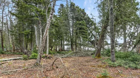 35 Aspen Ln, Steuben, ME 04680 photo 28