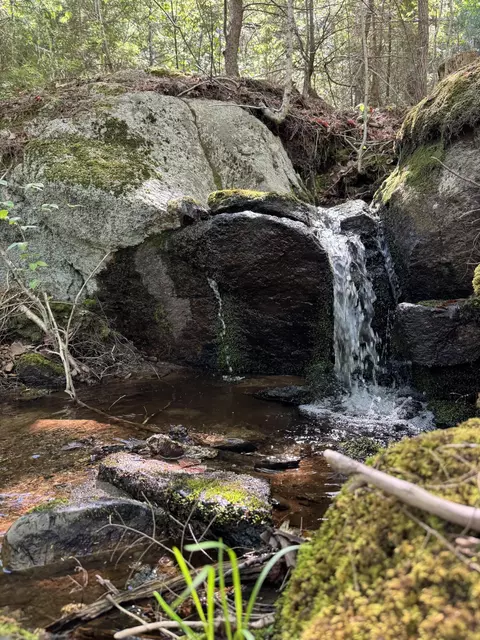 lot13 Route 9, Aurora, ME 04428