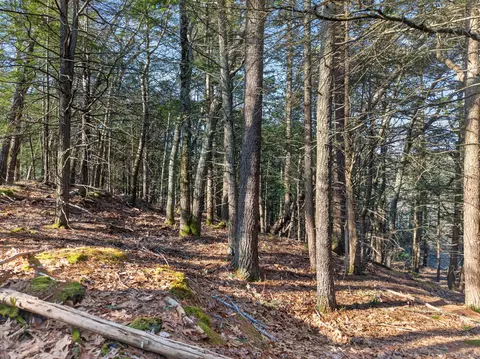 00 Ridge Rd, Bath, ME 04530 photo 5