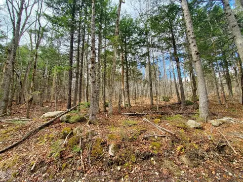 0 Sandy Beach Rd, Danforth, ME 04424 photo 2