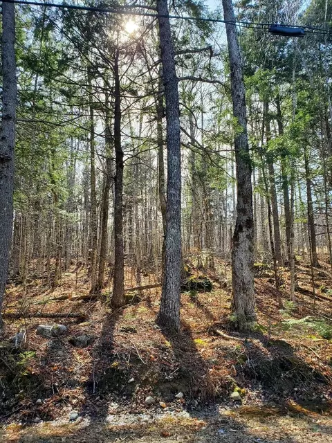 0 Sandy Beach Rd, Danforth, ME 04424 photo 20
