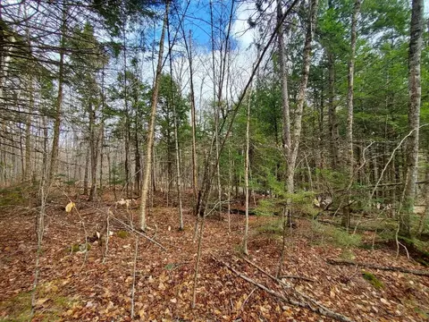 0 Sandy Beach Rd, Danforth, ME 04424 photo 11
