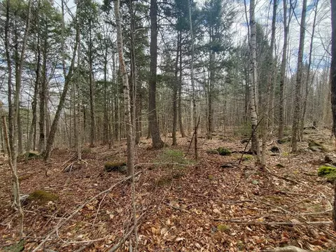 0 Sandy Beach Rd, Danforth, ME 04424 photo 17