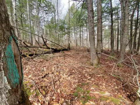 0 Sandy Beach Rd, Danforth, ME 04424 photo 8