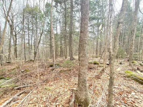 0 Sandy Beach Rd, Danforth, ME 04424 photo 15