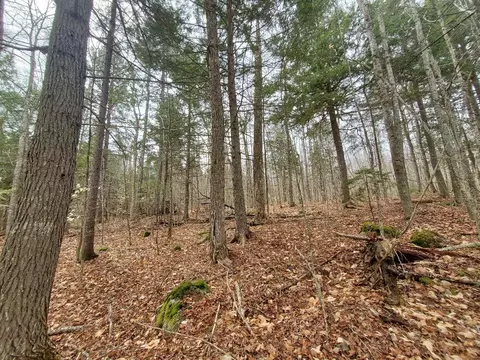 0 Sandy Beach Rd, Danforth, ME 04424 photo 22