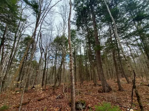 0 Sandy Beach Rd, Danforth, ME 04424 photo 18
