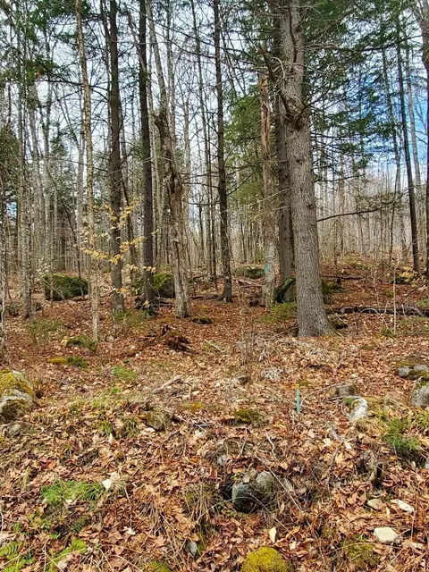 0 Sandy Beach Rd, Danforth, ME 04424 photo 3