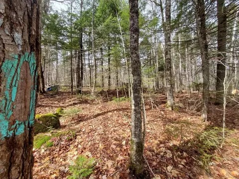 0 Sandy Beach Rd, Danforth, ME 04424 photo 10