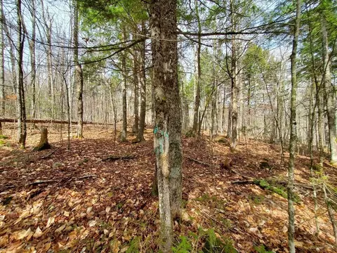 0 Sandy Beach Rd, Danforth, ME 04424 photo 12