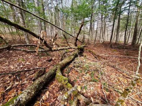 0 Sandy Beach Rd, Danforth, ME 04424 photo 9