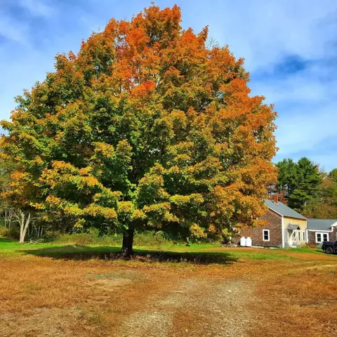 Exterior - 83 Marsh Rd, Belfast, ME 04915 photo 5 of 8