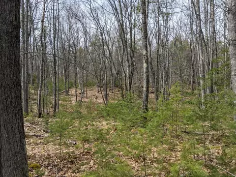 0 Arrowsic Rd, Arrowsic, ME 04530 photo 6