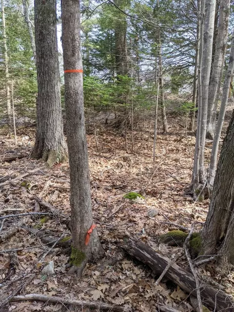 0 Arrowsic Rd, Arrowsic, ME 04530 photo 7