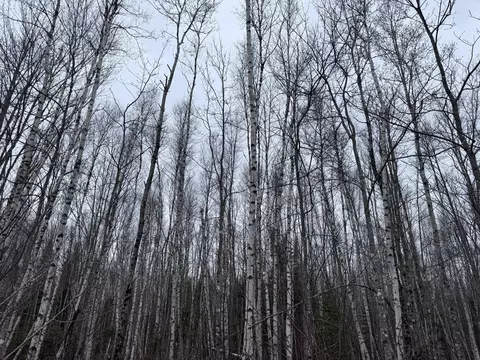 36 Otter Trl, Greenbush, ME 04418