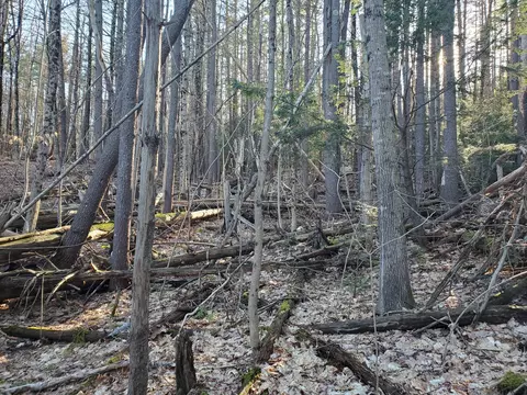 lot Apt 47 Gray Rd, Gorham, ME 04038 photo 7