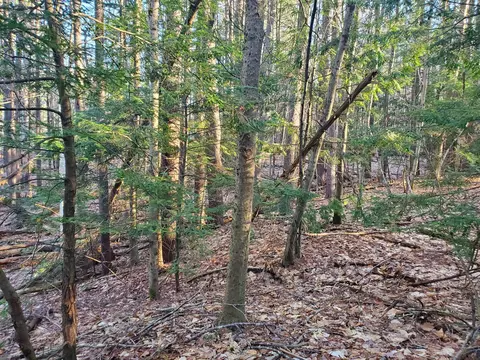 lot Apt 47 Gray Rd, Gorham, ME 04038 photo 10