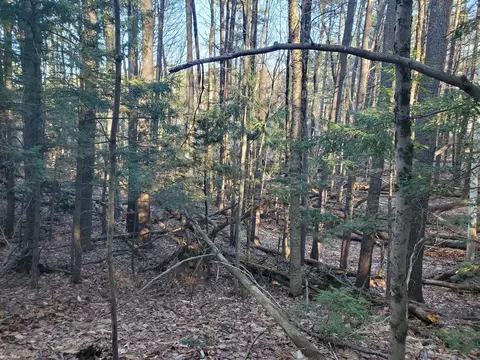 lot Apt 47 Gray Rd, Gorham, ME 04038 photo 11