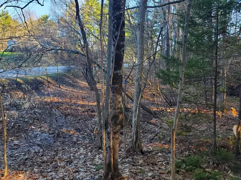 lot Apt 47 Gray Rd, Gorham, ME 04038 photo 6