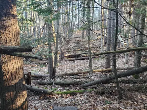 lot Apt 47 Gray Rd, Gorham, ME 04038 photo 9
