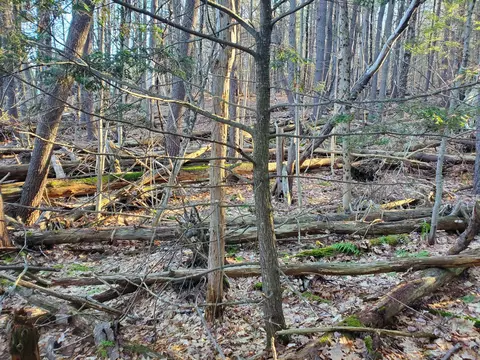 lot Apt 47 Gray Rd, Gorham, ME 04038 photo 8