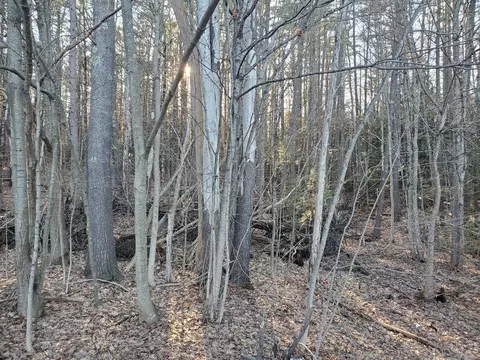 lot Apt 47 Gray Rd, Gorham, ME 04038 photo 4