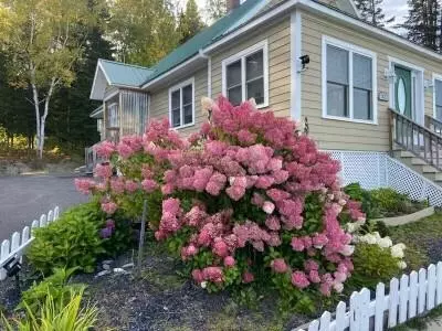 Exterior - 52 Devoe Brook Rd, Eagle Lake, ME 04739 photo 3 of 13