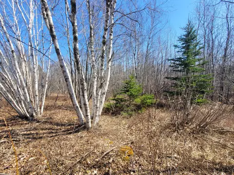 29 Reef Point Rd, Addison, ME 04606 photo 4