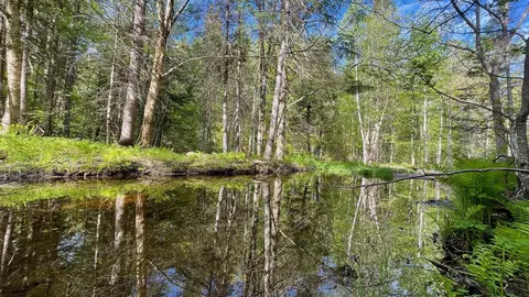 339 Long Pond Rd, Jackman, ME 04945