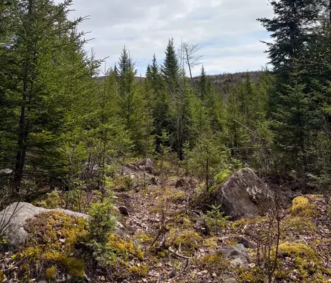 lot10 Morrison Brook Acres Acres, Oakfield, ME 04763