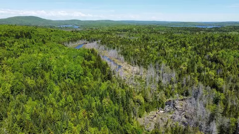 lot10 Morrison Brook Acres Acres, Oakfield, ME 04763
