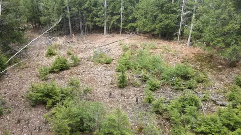 57 Dolloff Rd, Standish, ME 04084 photo 3
