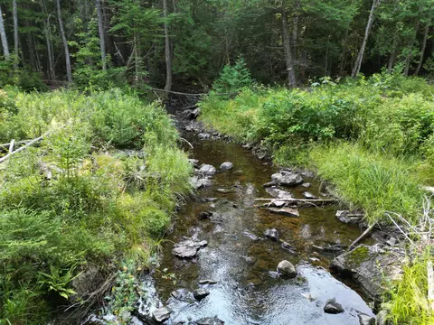 lot33 4 West Rd, Springfield, ME 04487