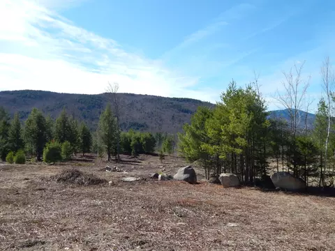 lot12 Second St, Bethel, ME 04217