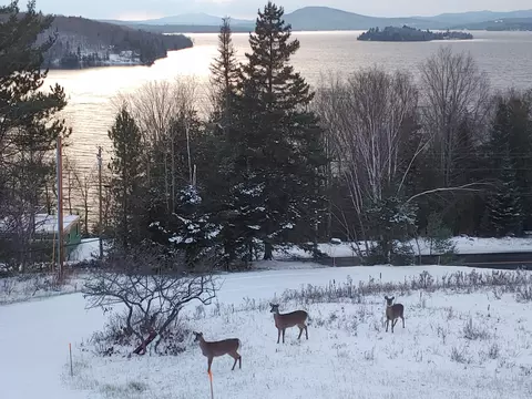 View/Area - 1983 Main St, Rangeley, ME 04970 photo 15 of 19